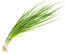 Bindmateriaal planten: de slimme keuze voor elke kwekerij